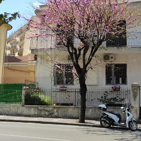 L'Acchiappasogni Casa Vacanze 카스텔라마레디스타비아 외부 사진