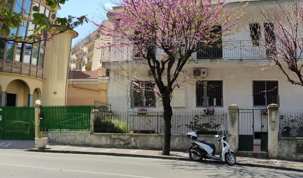 L'Acchiappasogni Casa Vacanze 카스텔라마레디스타비아 외부 사진